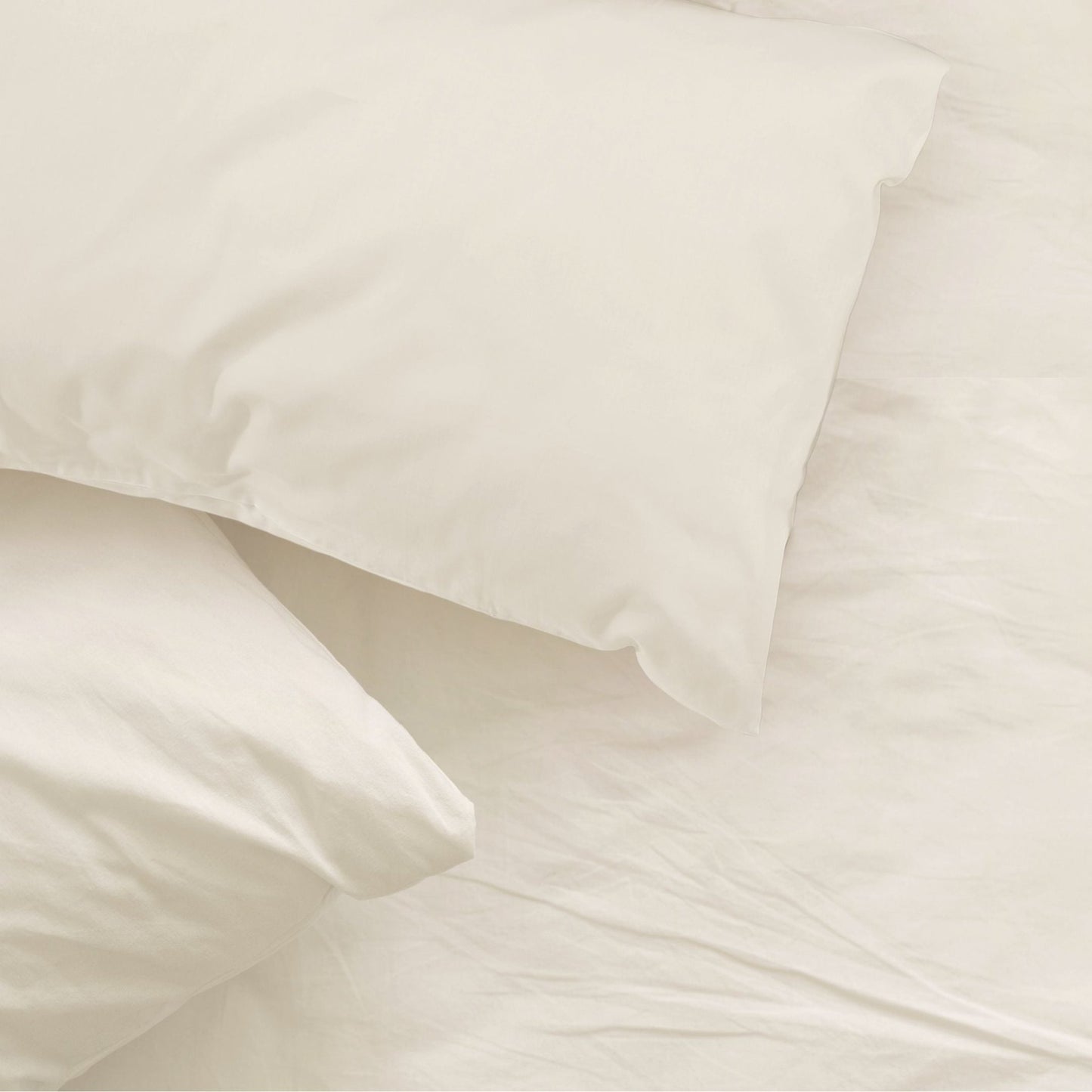 Classic Ivory - Flat Sheet | 100% Egyptian Cotton - 200 Thread Count - Luxury Bed Linen - restmor.co.uk - colour