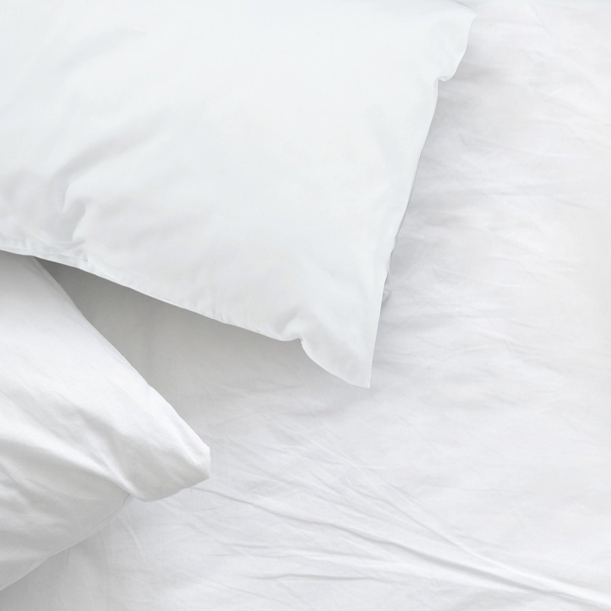White - Pillowcase Pair | 100% Egyptian Cotton - 200 Thread Count - Luxury Bed Linen - restmor.co.uk - colour